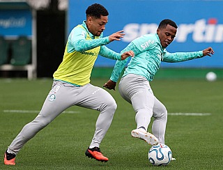 Palmeiras deixa Brasileirão de lado e começa a se preparar para Libertadores