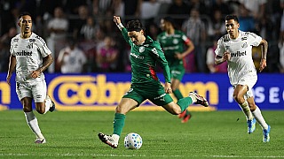 Quanto o Palmeiras ganha com a classificação sobre o Santos? Saiba
