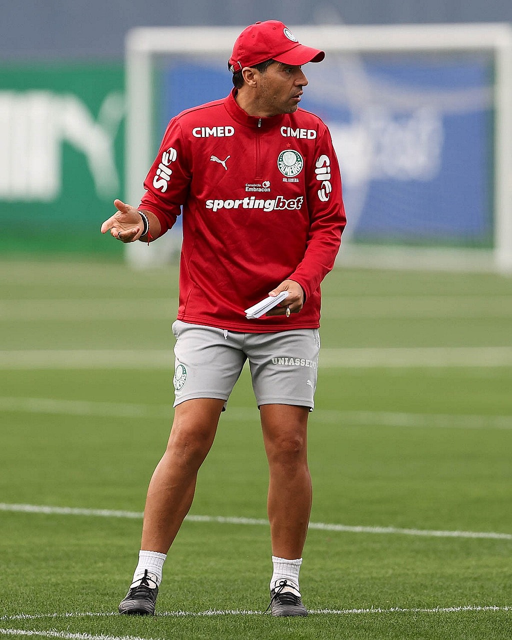 Palmeiras