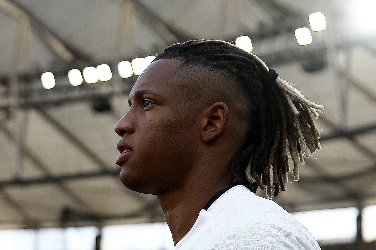 Botafogo Palmeiras Danilo