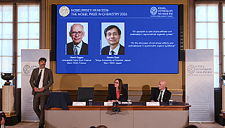 Nobel de Química: Henri Kagan e Kenso Soai são premiados por pesquisas da 'imagem espelhada'