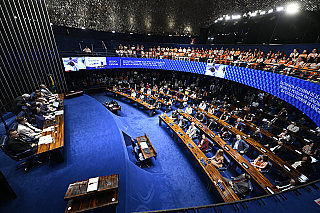 Eleições 2026: bancada feminina pode chegar a 22 integrantes no Senado
